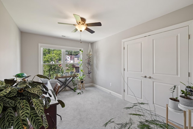 4111 Finn Ct, Rockingham, VA 22802 - photo 36