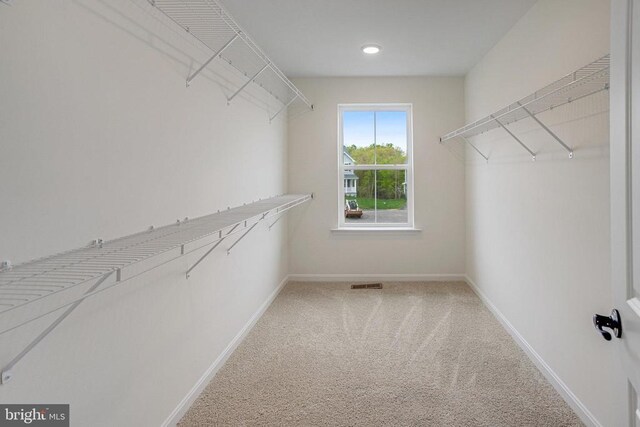 walk in closet with carpet
