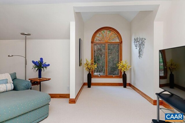 26 May Apple Ln, Nellysford, VA 22958