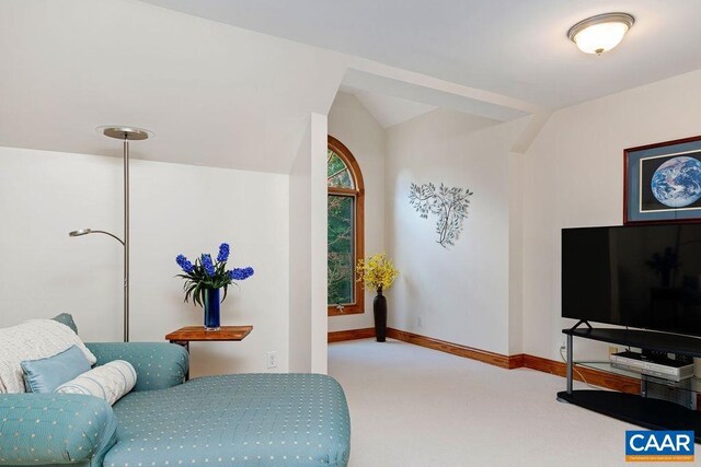 26 May Apple Ln, Nellysford, VA 22958