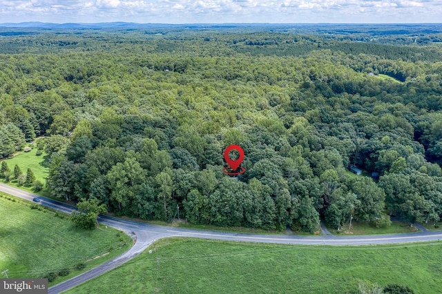 6447 Waterford Rd, Rixeyville, VA 22737 - photo 30