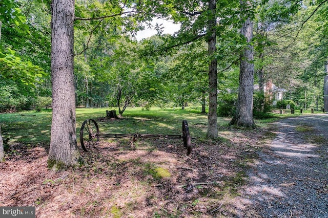 6447 Waterford Rd, Rixeyville, VA 22737 - photo 38