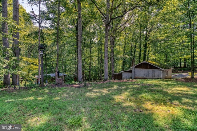6447 Waterford Rd, Rixeyville, VA 22737 - photo 40