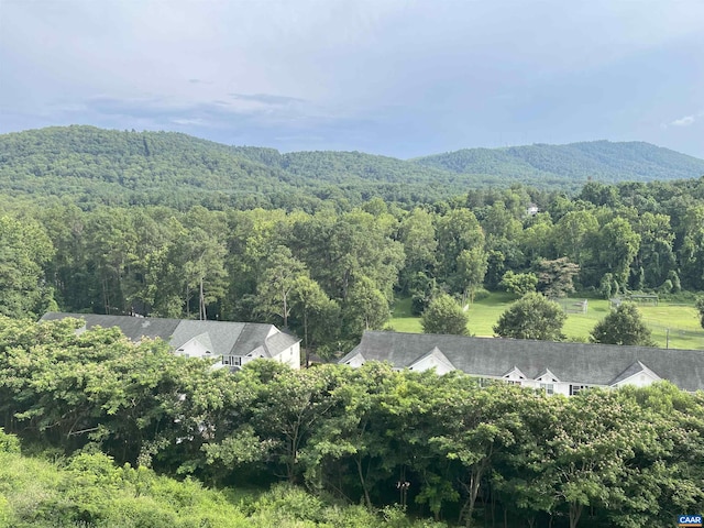 1606 Monticello Ave Unit G, Charlottesville, VA 22902 - view of mountain background featuring a heavily wooded area