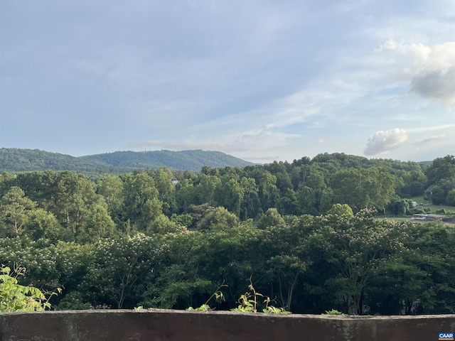 1606 Monticello Ave Unit G, Charlottesville, VA 22902 - mountain view with a forest