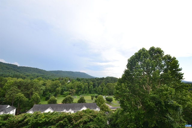 1606 Monticello Ave Unit G, Charlottesville, VA 22902 - view of mountain background with a forest