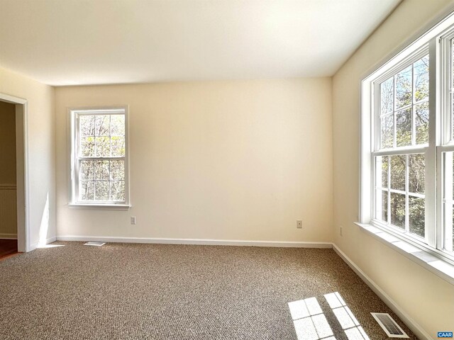 276 Rustling Oaks Way, Ruckersville, VA 22968 - empty room featuring plenty of natural light and carpet