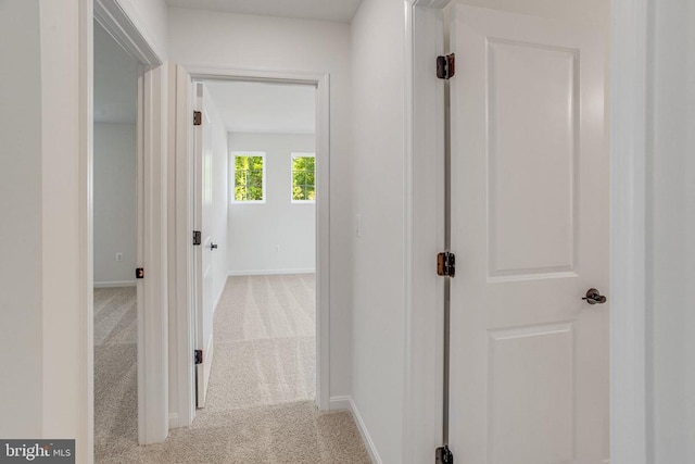35614 Pine Needle Ln, Locust Grove, VA 22508 - corridor featuring carpet floors and baseboards