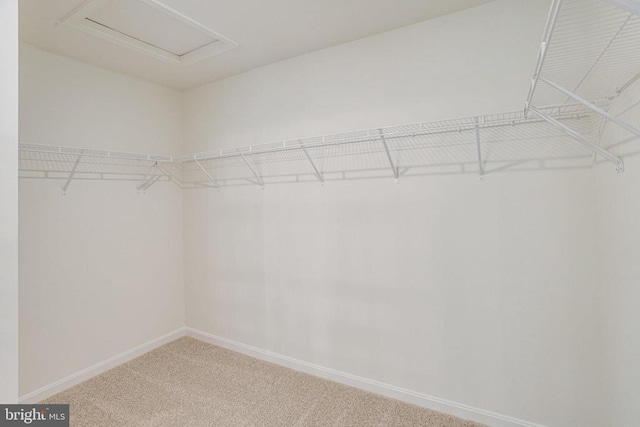 35614 Pine Needle Ln, Locust Grove, VA 22508 - walk in closet with carpet flooring