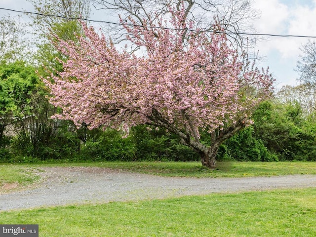 view of home's community featuring a lawn