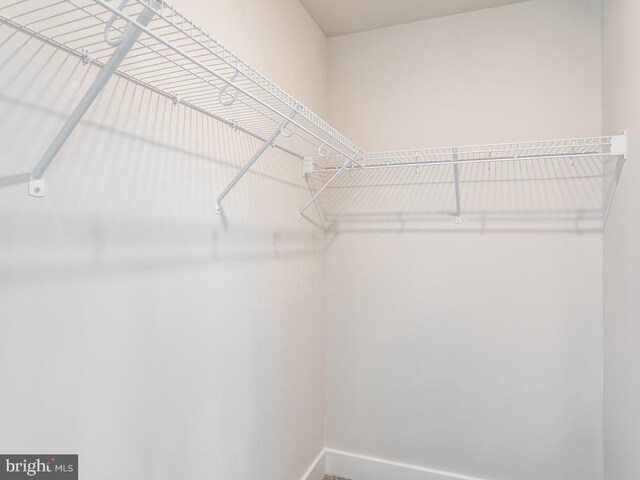 23555 Whartons Pass, Unionville, VA 22567 - photo 37