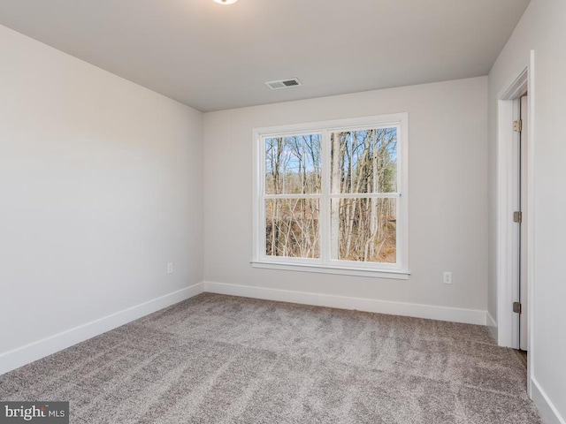 23555 Whartons Pass, Unionville, VA 22567 - photo 42