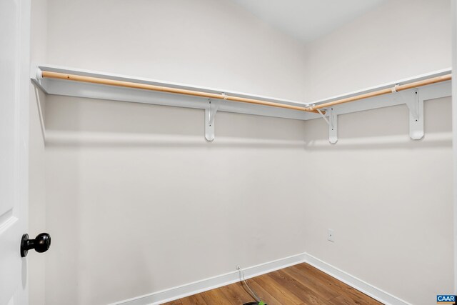 walk in closet featuring wood-type flooring