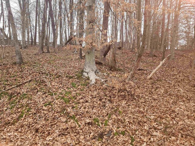 28 Overlook Cir, Palmyra, VA 22963 - photo 3