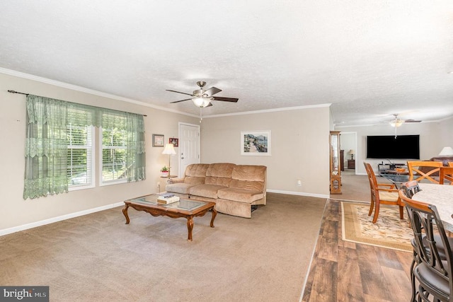 33101 Juniper Ln, Locust Grove, VA 22508 - photo 9