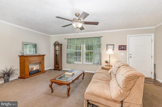 33101 Juniper Ln, Locust Grove, VA 22508 - photo 8