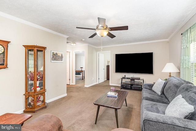 33101 Juniper Ln, Locust Grove, VA 22508 - photo 11