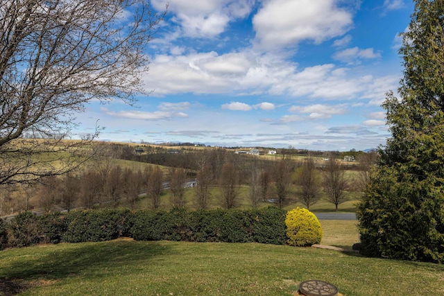 635 Long Meadow Rd, Fishersville, VA 22939 - photo 2