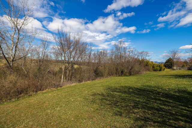 635 Long Meadow Rd, Fishersville, VA 22939 - view of yard