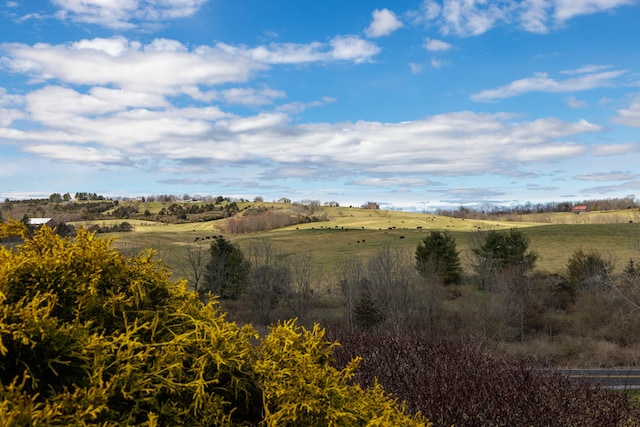 635 Long Meadow Rd, Fishersville, VA 22939 - view of nature featuring a rural view