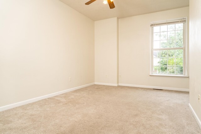 2100 Lake Terrace Dr, Harrisonburg, VA 22802 - photo 24