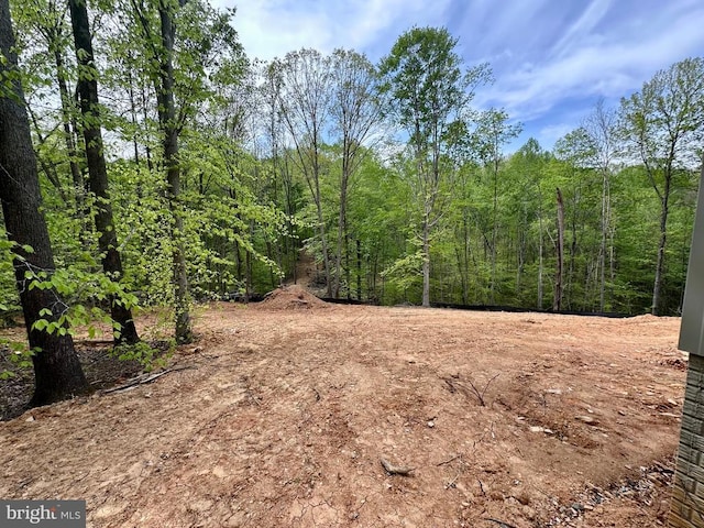 20388 Beaver Creek Ct, Lignum, VA 22726 - photo 25