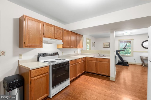 1550 Clover Dr, Fredericksburg, VA 22407 - kitchen with electric stove, under cabinet range hood, light wood finished floors, and light countertops