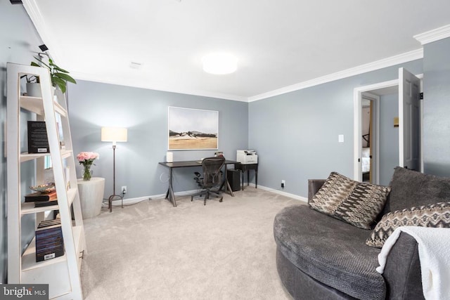 1550 Clover Dr, Fredericksburg, VA 22407 - carpeted office space with crown molding and baseboards