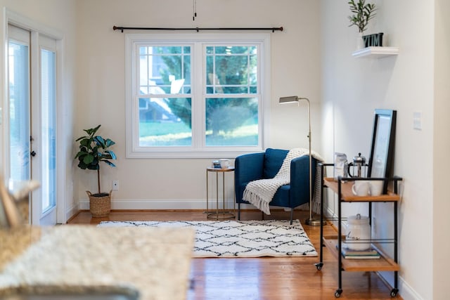 325 Petros Dr, Waynesboro, VA 22980 - living area featuring healthy amount of natural light, wood finished floors, and baseboards