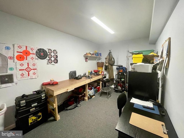 264 Fairfield Dr, Warrenton, VA 20186 - office space with carpet flooring and a workshop area