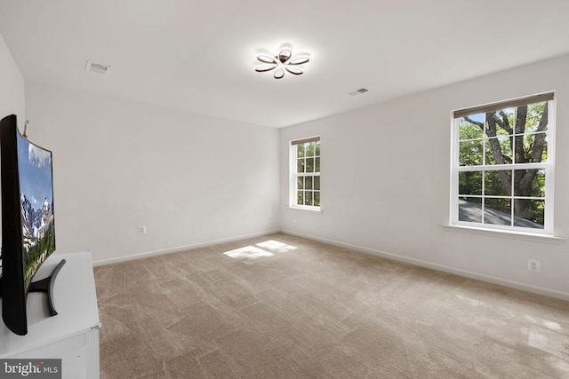 11520 Bluestem Way, Fredericksburg, VA 22407 - photo 24