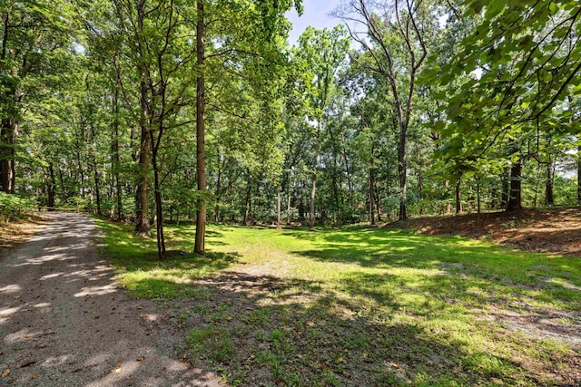 2035 Lee Jackson Hwy, Staunton, VA 24401 - view of grassy yard featuring a forest view