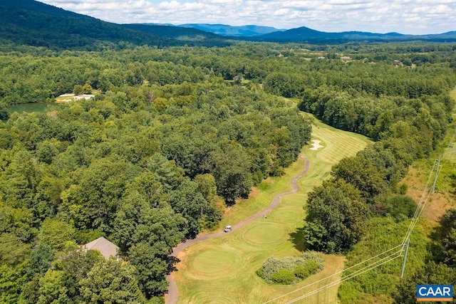 Laurel Ct, Nellysford, VA 22958