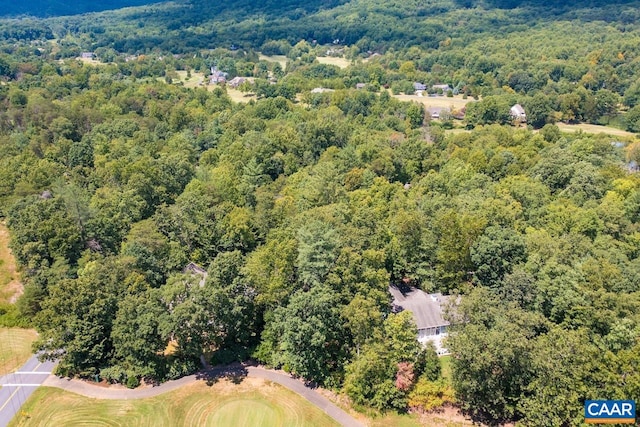 Laurel Ct, Nellysford, VA 22958