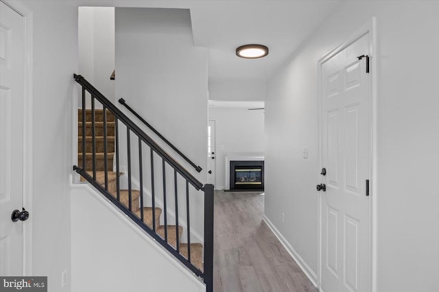 10028 Gander Ct, Fredericksburg, VA 22407 - photo 8