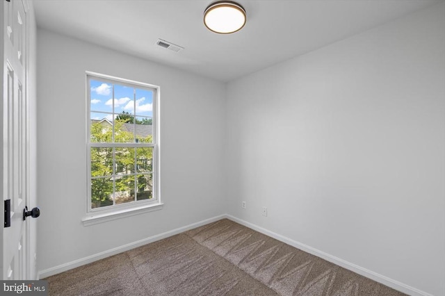 10028 Gander Ct, Fredericksburg, VA 22407 - photo 29