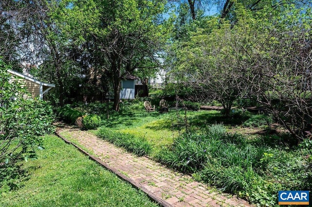 view of yard