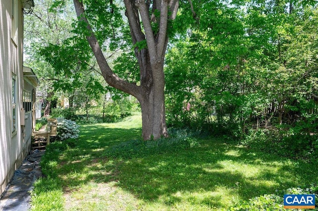 view of grassy yard