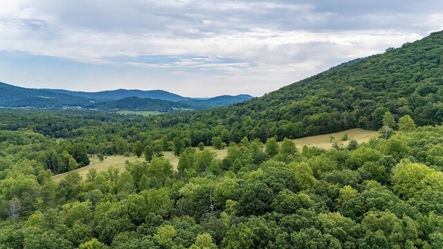 96ACRES Blackwells Hollow Rd, Crozet, VA 22932
