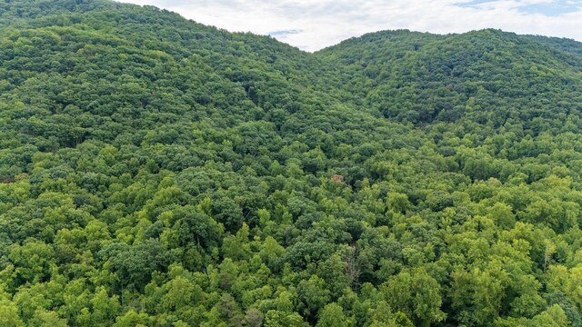 96ACRES Blackwells Hollow Rd, Crozet, VA 22932