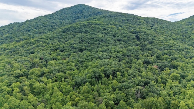 96ACRES Blackwells Hollow Rd, Crozet, VA 22932