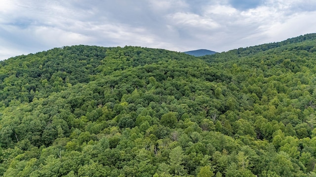 96ACRES Blackwells Hollow Rd, Crozet, VA 22932