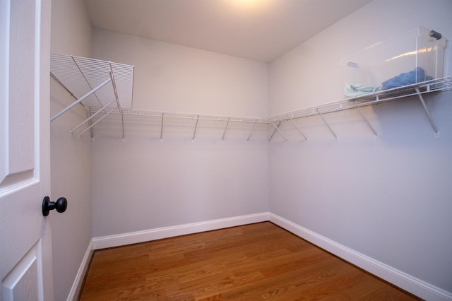 walk in closet with wood finished floors