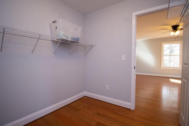 walk in closet with ceiling fan and wood finished floors