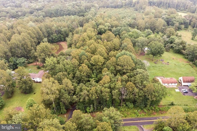  - drone / aerial view of a forest