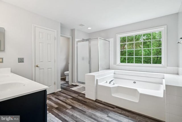  - bathroom featuring a stall shower, a bath, wood finished floors, and double vanity