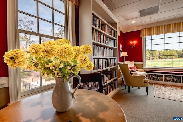 living area with carpet and crown molding