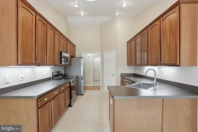 200 Saylers Creek Rd, Locust Grove, VA 22508 - kitchen featuring appliances with stainless steel finishes, a sink, glass insert cabinets, dark countertops, and a peninsula