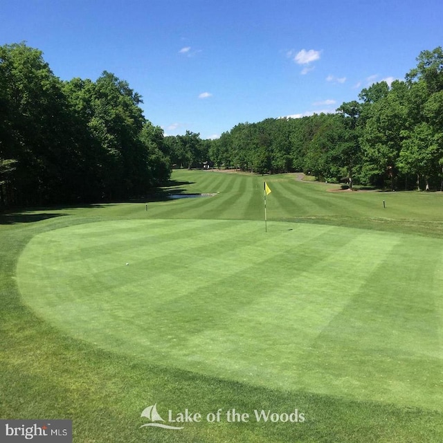 200 Saylers Creek Rd, Locust Grove, VA 22508 - surrounding community featuring golf course view, a putting green, and view of scattered trees