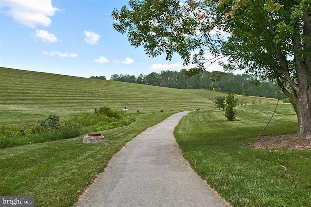200 Saylers Creek Rd, Locust Grove, VA 22508 - view of property's community featuring a lawn and a rural view